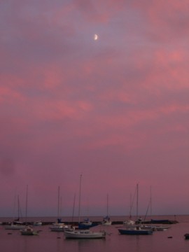 b0039350_10594877.jpg