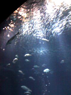 a0030054_11554215.jpg