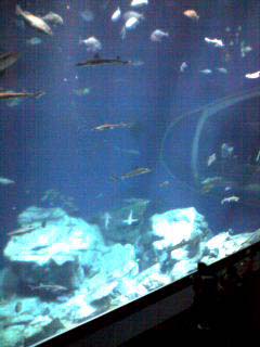a0030054_11582454.jpg