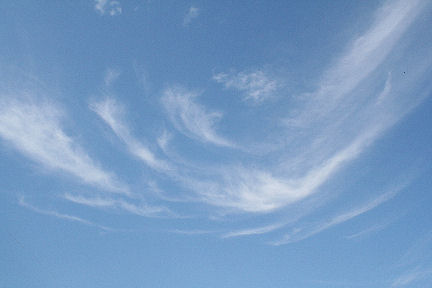 a0031454_22285330.jpg