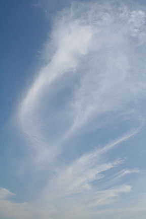 a0031454_22355294.jpg