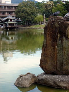 e0083155_17433456.jpg