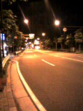 a0001756_1574195.jpg