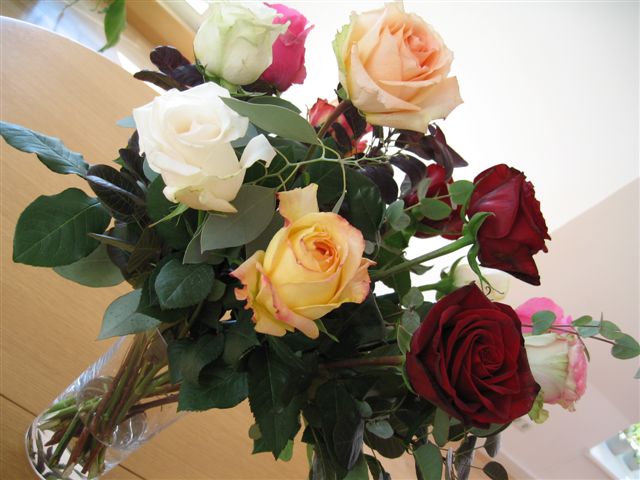 a0073357_16593874.jpg