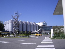 a0066258_011488.jpg