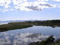 b0086858_15572448.jpg