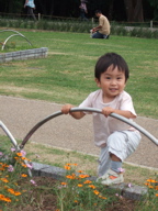 e0035461_2245498.jpg