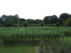 e0035461_22573030.jpg