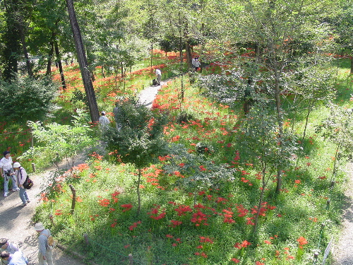 c0061964_20202361.jpg