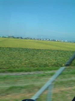 e0016164_22284027.jpg