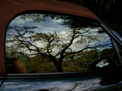 f0052269_1734244.jpg