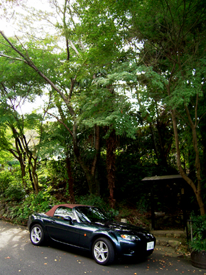 f0052269_1734451.jpg
