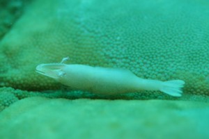 e0056370_2356518.jpg