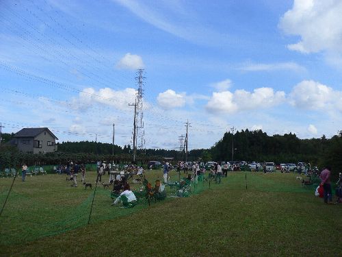 e0062371_19433365.jpg