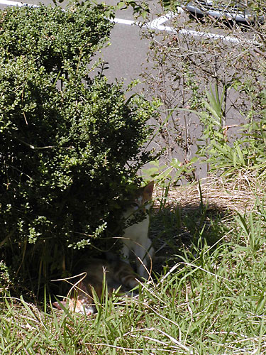 d0002472_0425846.jpg