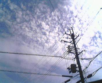 e0021276_22123529.jpg