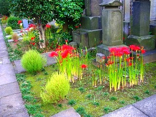 c0078480_22382413.jpg
