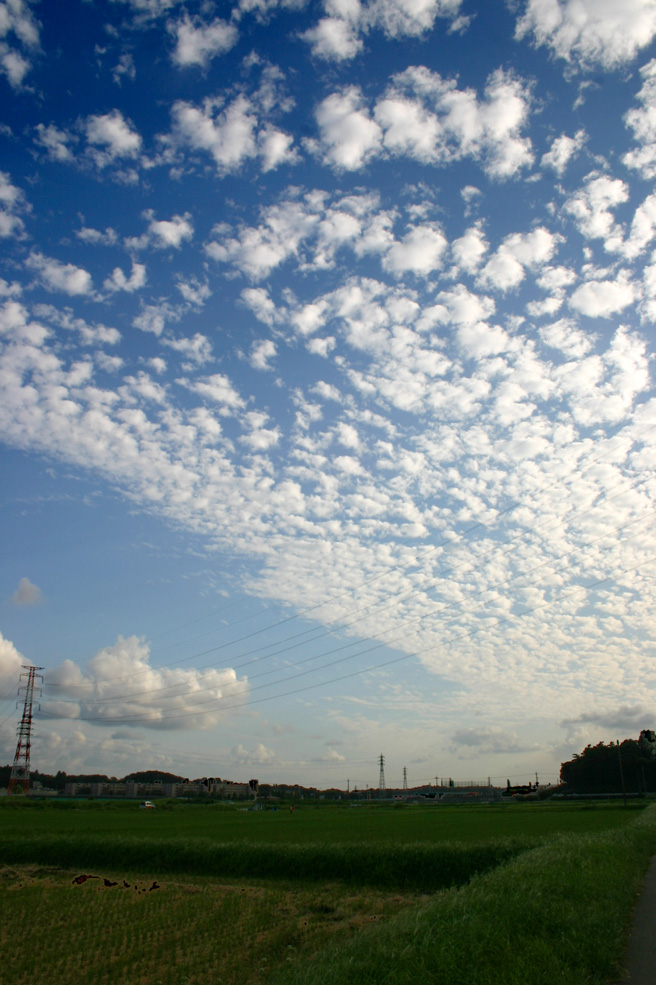 b0089483_22472318.jpg