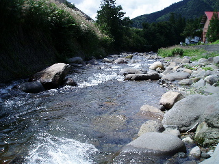 a0089288_6342998.jpg