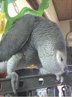 c0076490_18443592.jpg