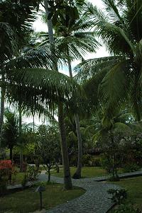 f0086492_16383547.jpg