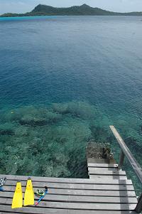 f0086492_1702065.jpg
