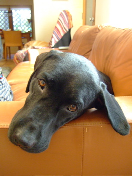 f0001698_2234880.jpg