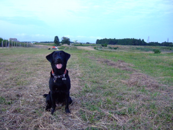 f0001698_2313334.jpg