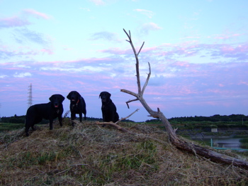 f0001698_233471.jpg