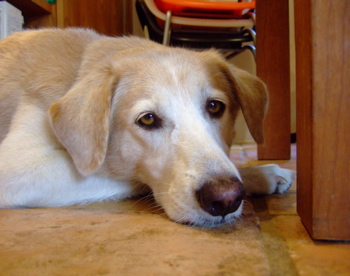 f0001698_24506.jpg