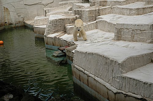 d0064000_20123560.jpg