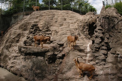 d0064000_8321233.jpg