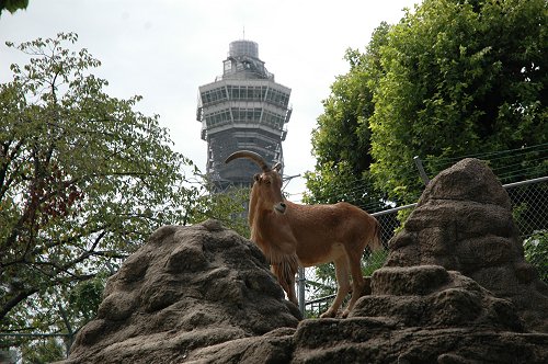 d0064000_8351854.jpg