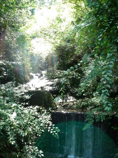 f0083400_1319348.jpg