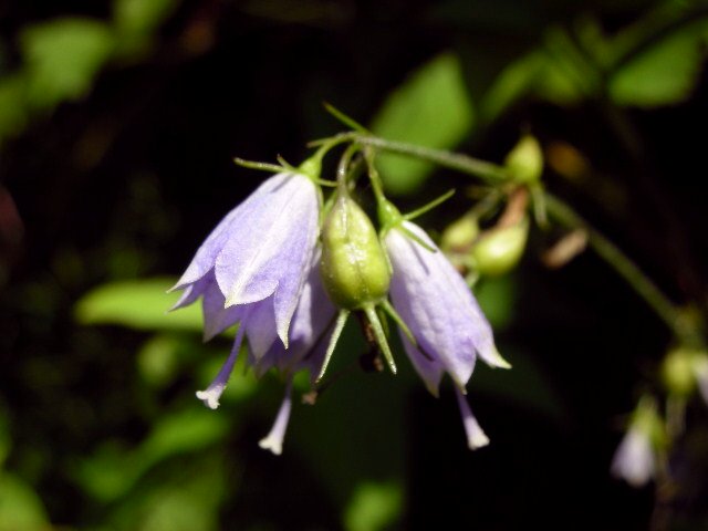 f0083400_13203478.jpg
