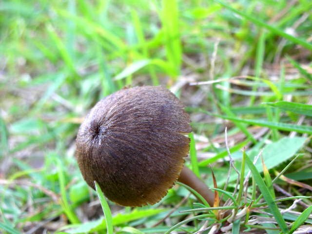 f0083400_13212513.jpg