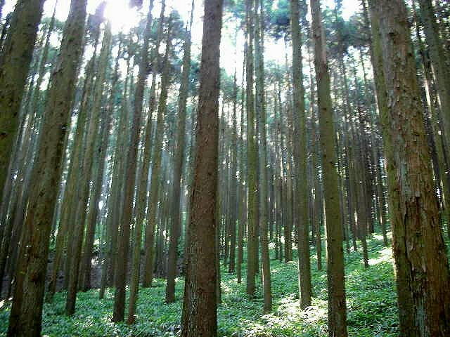 f0083400_13214499.jpg