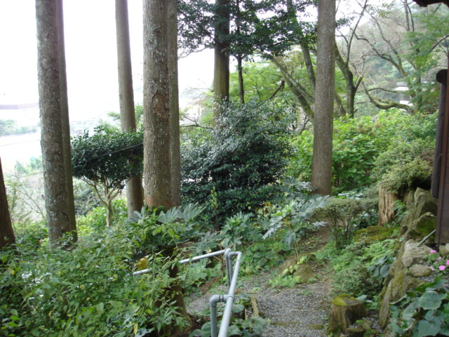 c0087001_20374474.jpg