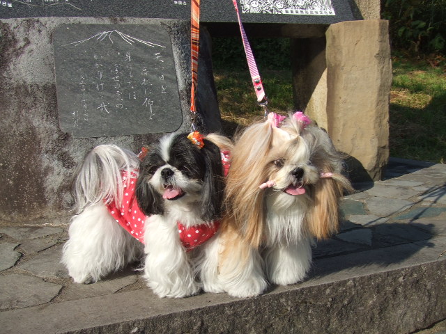 e0050801_044393.jpg