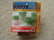a0053203_7422770.jpg