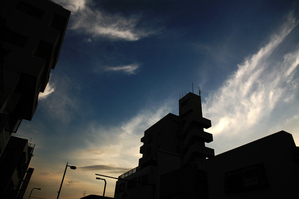 a0008508_1263811.jpg