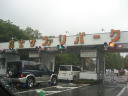 f0024409_1949418.jpg