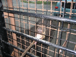 f0024409_1950399.jpg