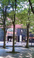 c0004211_9131795.jpg