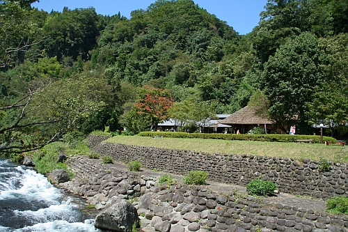 b0003512_2353226.jpg