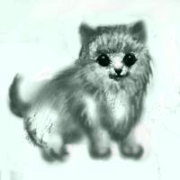 a0055913_0215060.gif