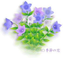 a0055913_022822.gif