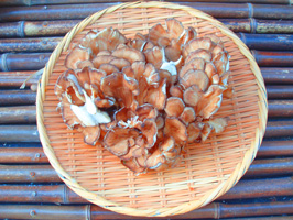 a0047618_22333165.jpg
