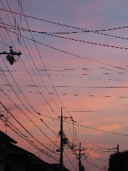 c0054118_21411254.jpg