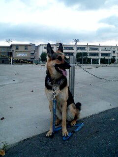 c0090220_13334879.jpg